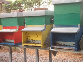 come sono oggi 20-07-2012